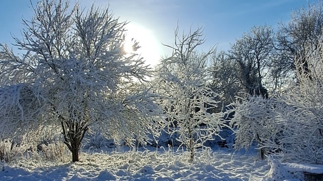 Snowfall captured in Collon, Co Louth by Joanna Clinton