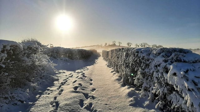 Dominique Ward captured footprints in the snow in Clontibret, Co Monaghan