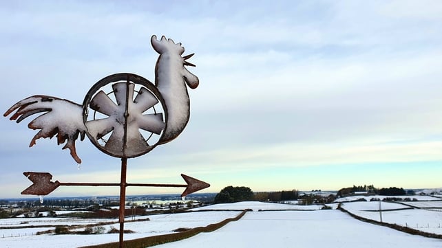 The view from Vivienne McCormack's hobby farm at Loughrea