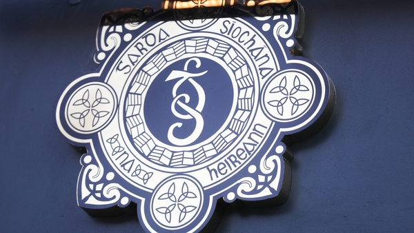 Senior gardaí are seeking clarity as to why the Government did not accept the recommendations of the Butler report (file image)