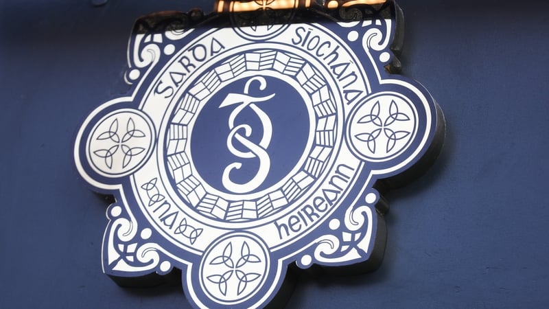 Senior gardaí are seeking clarity as to why the Government did not accept the recommendations of the Butler report (file image)