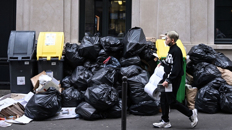 Business owners and residents reported seeing rats and mice as a result