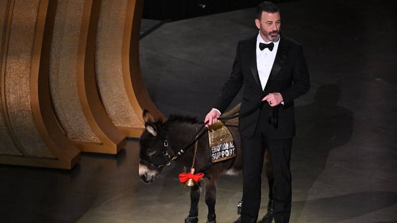 "We didn't think it was a good idea to fly a donkey over from Ireland, so we hired an LA donkey"