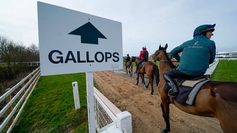Willie Mullins' horses heading for the gallops at Cheltenham Racecourse last Sunday