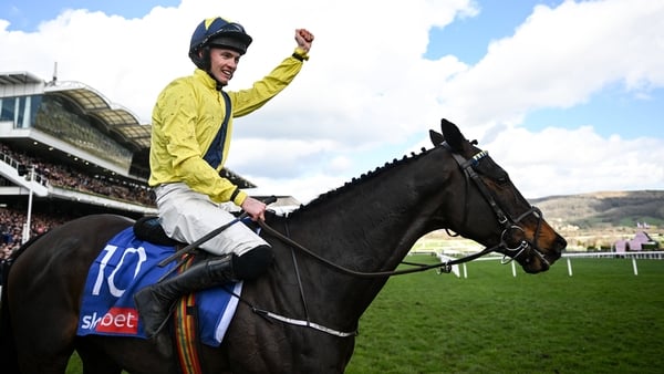 Marine Nationale won the Supreme Novices' Hurdle at Cheltenham