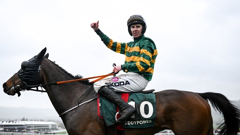 Sire Du Berlais is in the form of his life at the age of 11