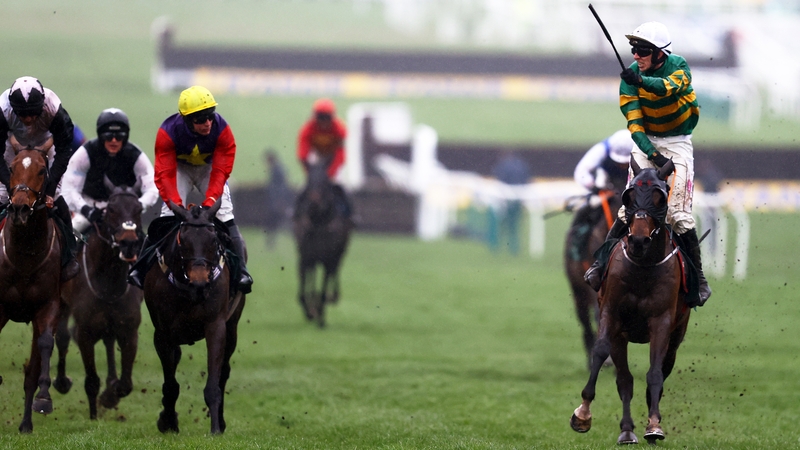 Sire Du Berlais as already won at Cheltenham and Aintree