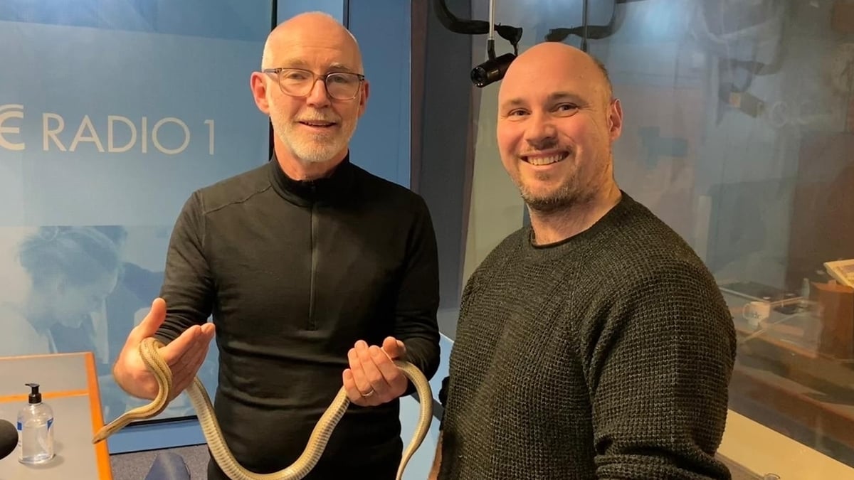 Snakes - Rob Gandola | The Ray D'Arcy Show - RTÉ Radio 1
