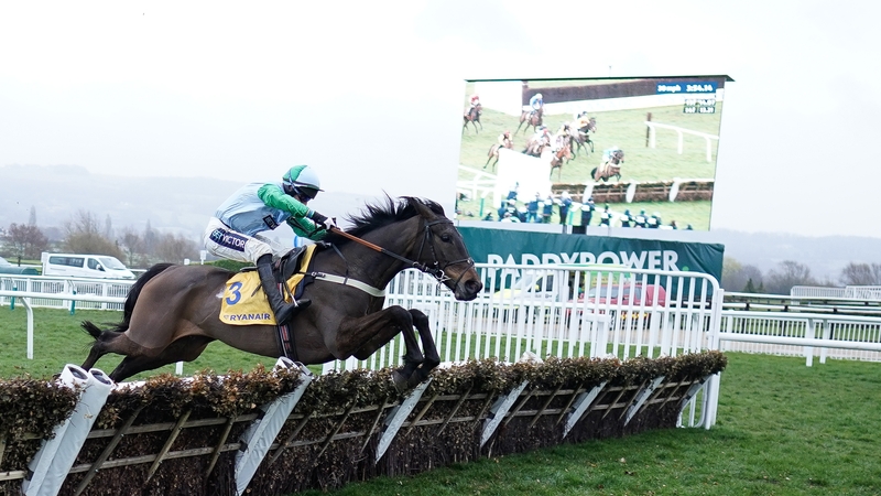 You Wear It Well obliged at 16-1