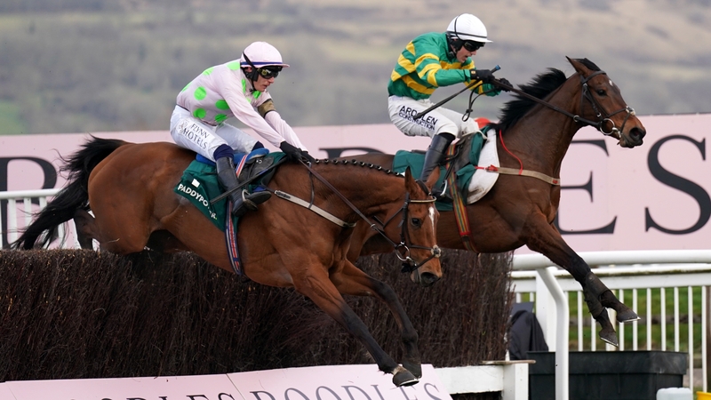 Impervious (R) clears the last to edge out Allegorie De Vassy