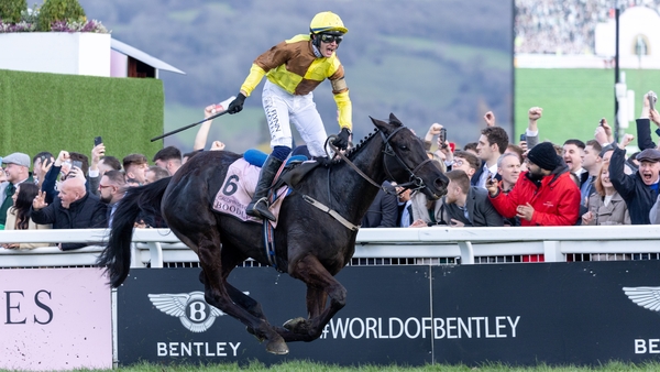 Galopin Des Champs will bid to avenge his defeat at last year's Punchestown Festival