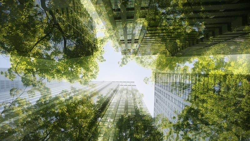 73% of companies plan to maintain their current level of investment, while 20% expect to increase their spend.