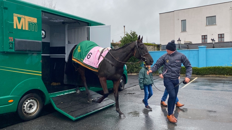 Galopin Des Champs arriving in Leighlinbridge today