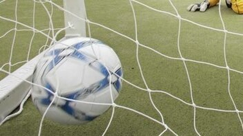 The Volunteer in Sport Awards are held annually to celebrate the social importance of volunteerism in sport (Pic: Rollingews.ie)