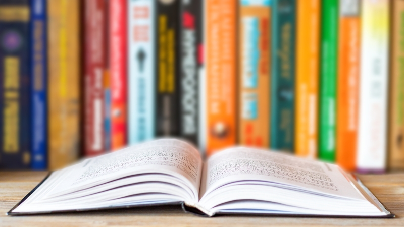 The vast majority (86%) were children's books, and more than half (58%) were books taught or available at school (file image)