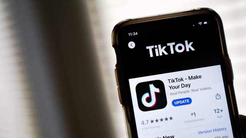 A string of Western governments and institutions have banned TikTok on work devices in recent weeks (file image)