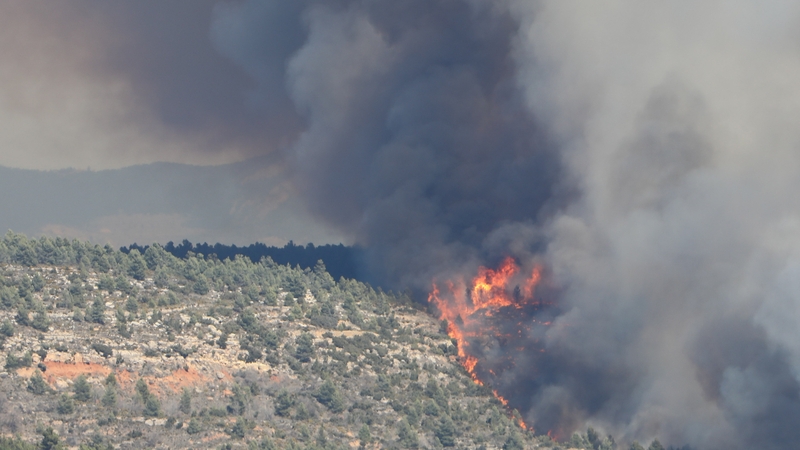 The forest fire near Villanueva de Viver