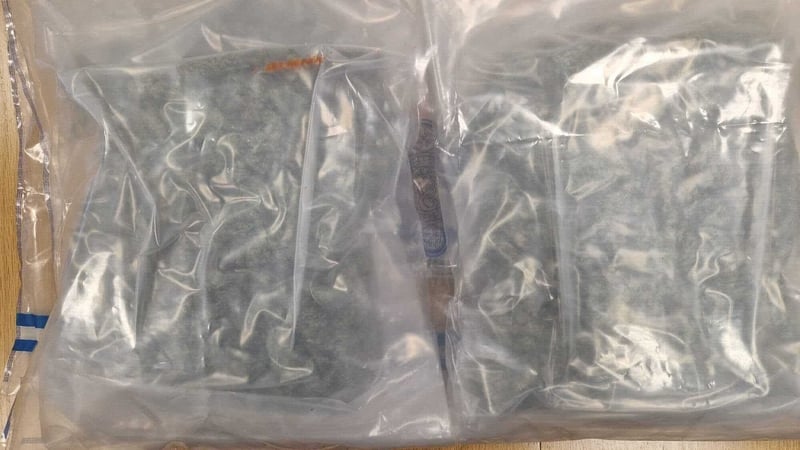 Cannabis seized on the M7 motorway yesterday