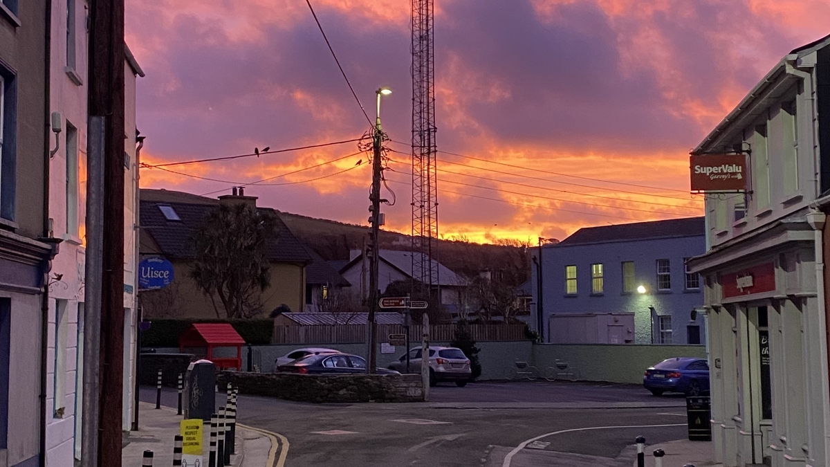 Risteárd Mac Liam; Cumann Lucht Trádála an Daingin