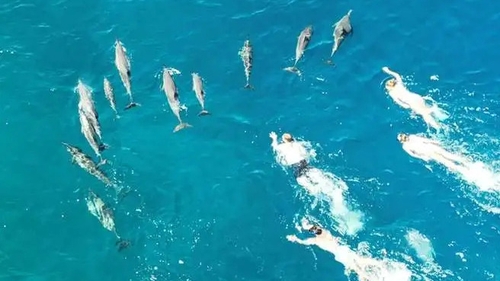 Image courtesy of Hawaii DLNR