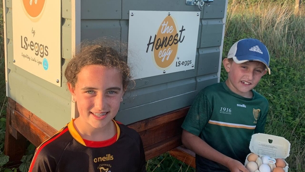 Liam Ellis and his sister Sophie set up the 'LS Eggs' initiative last year
