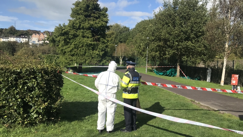 The scene of the attack near the Mardyke Walk in Cork