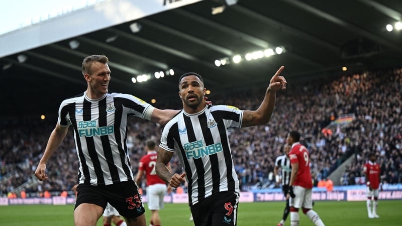 Callum Wilson sealed the win with the second goal