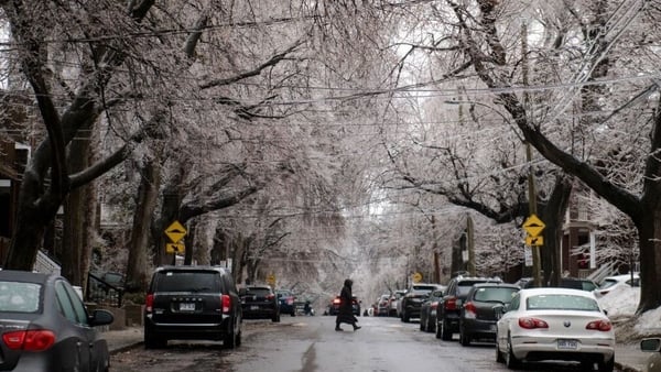Tree branches covered with ice in Montreal