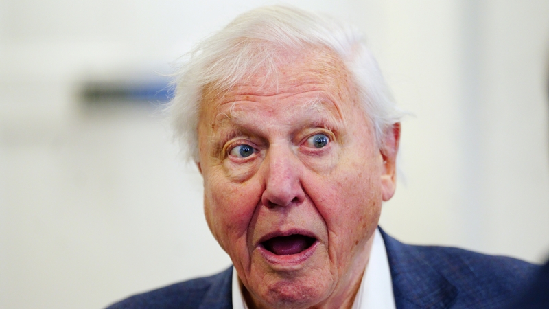 David Attenborough - "Couldn't wait to join the dig and get a first look at the fossil bones" Photo: Press Association