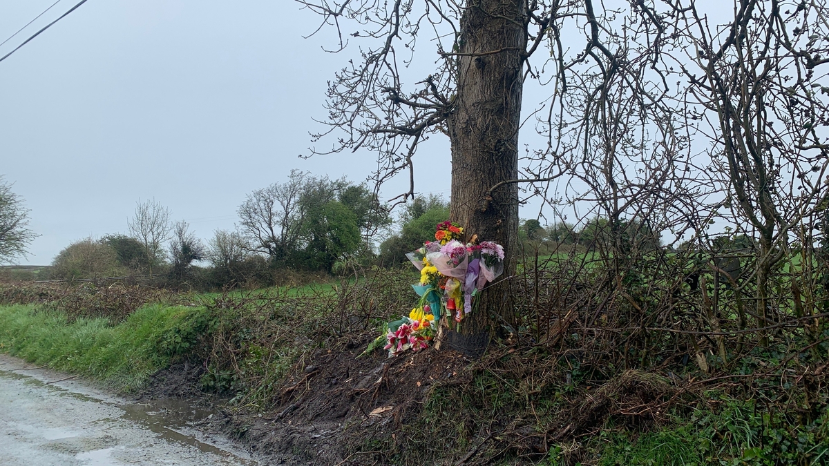 Teens described as 'two beautiful young people' following deaths in Co. Galway car crash
