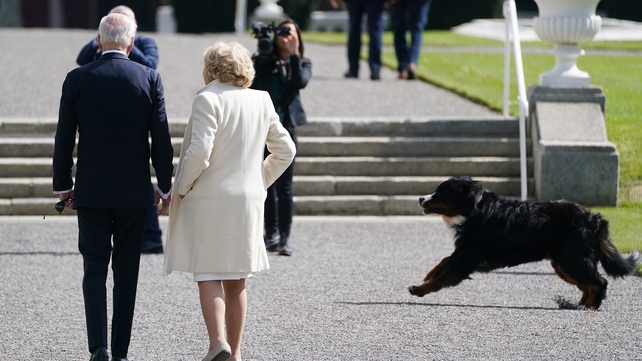 President Michael D Higgins' dog Misneach gets excited as Joe Biden visits to Áras an Uachtaráin