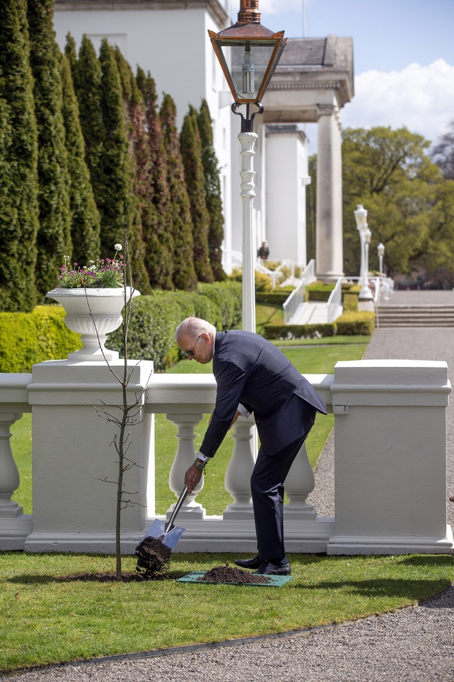 President Biden plants an Oak tree at Áras an Uachtaráin - and asks if his grandchildren can come back some day to climb on it