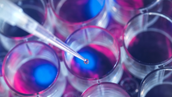 In the coming decades, we will begin to see increasing implementation of tissue engineering strategies in our medical fields, transforming tissue engineering from a science fiction idea into reality. Photo: Getty Images