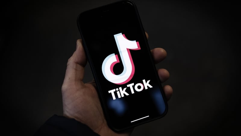 A similar STEM feed launch by TikTok in the US saw STEM content grow by 24% globally (file image)