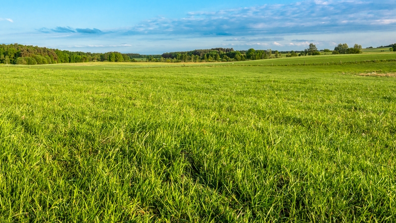 The tax is intended to target people who are hoarding land (Stock image)