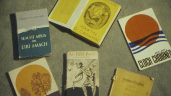 Litríocht na Gaeilge (1978)