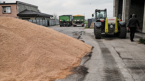 Brussels is scrambling to find a solution after Poland, Hungary, Slovakia and Bulgaria banned imports of Ukrainian grain and other food products