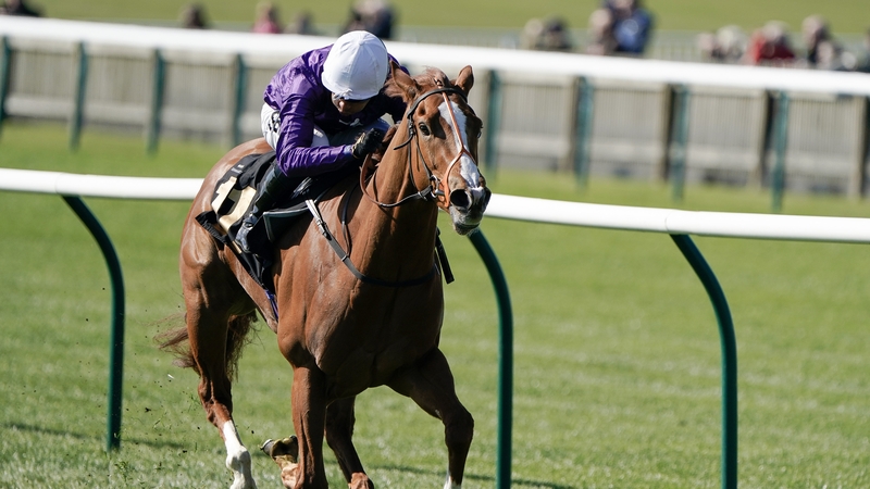 Mammas Girl now looks set to return to Newmarket for the 1000 Guineas on 7 May
