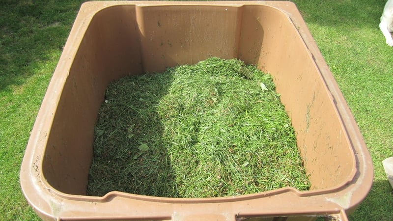 Panda has announced plans to introduce a charge for brown bin collection