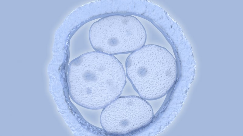 The scientific prospect of developing a human outside of the body in future is becoming more plausible given recent scientific studies. Photo: Getty Images