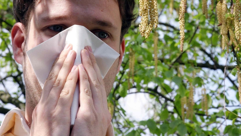 The vast majority of people who suffer with hay fever may have mild symptoms such as sneezing, a runny nose, itchy eyes