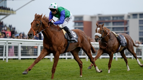Issac Shelby leads home the riderless Chaldean