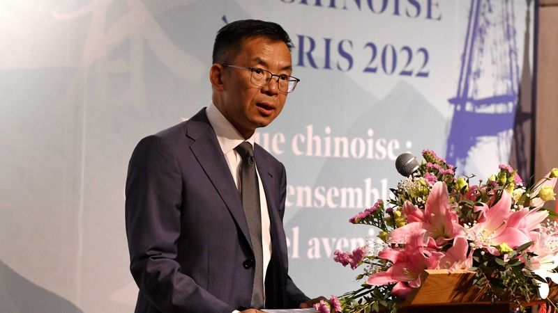 Lu Shaye suggested countries that emerged after the fall of the Soviet Union 'don't have effective status under international law' (file pic)