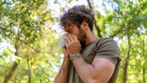 The Copernicus Atmosphere Monitoring Service has reported extreme pollen levels in parts of Europe