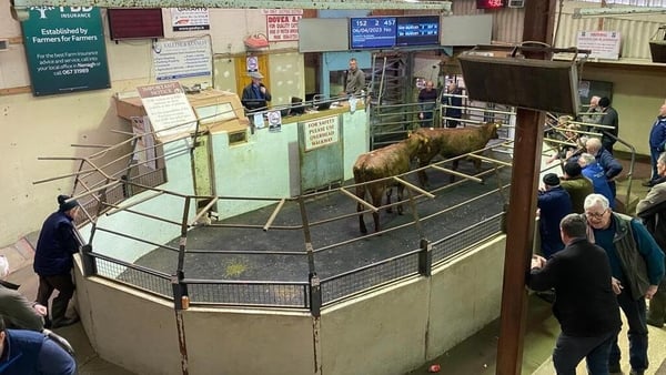 Farmers at Nenagh Mart, Co Tipperary welcomed the idea of a new rural party