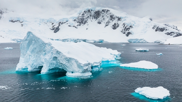 Ecolution: What is happening off the coast of Antarctica?