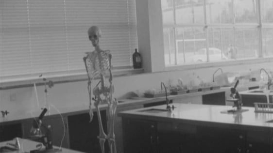 Classroom in the new Marist College in Athlone (1973)