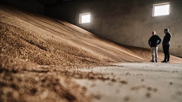 Farmers inspect unsold grain stores on a farm in Sedziejowo, Poland