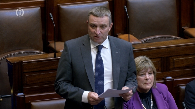 Junior Minister Niall Collins made a statement in the Dáil