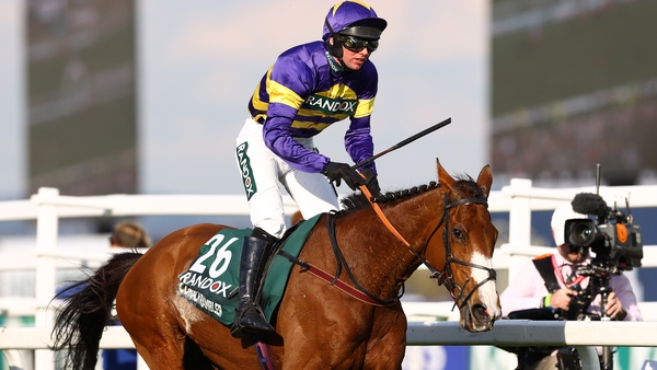 Corach Rambler is safe and sound after his spill